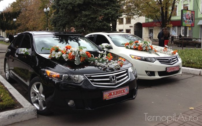 Аренда Honda Accord на свадьбу Тернопіль
